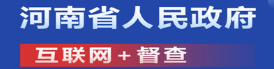 河南省人民政府互联网+督查