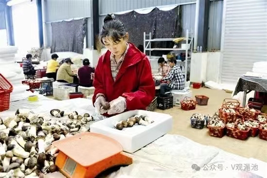 微信图片_20240515141935.jpg